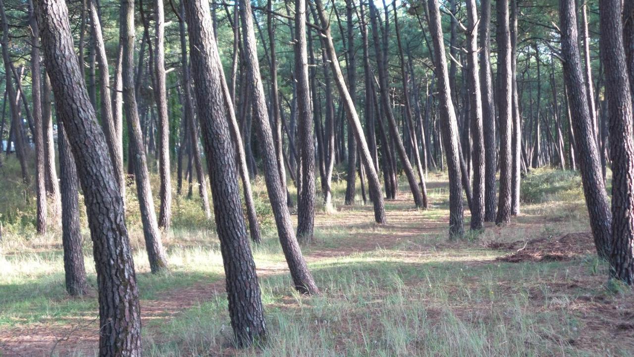 Chambre D'Hotes Et Spa De La Presqu'Ile La Faute-sur-Mer Luaran gambar